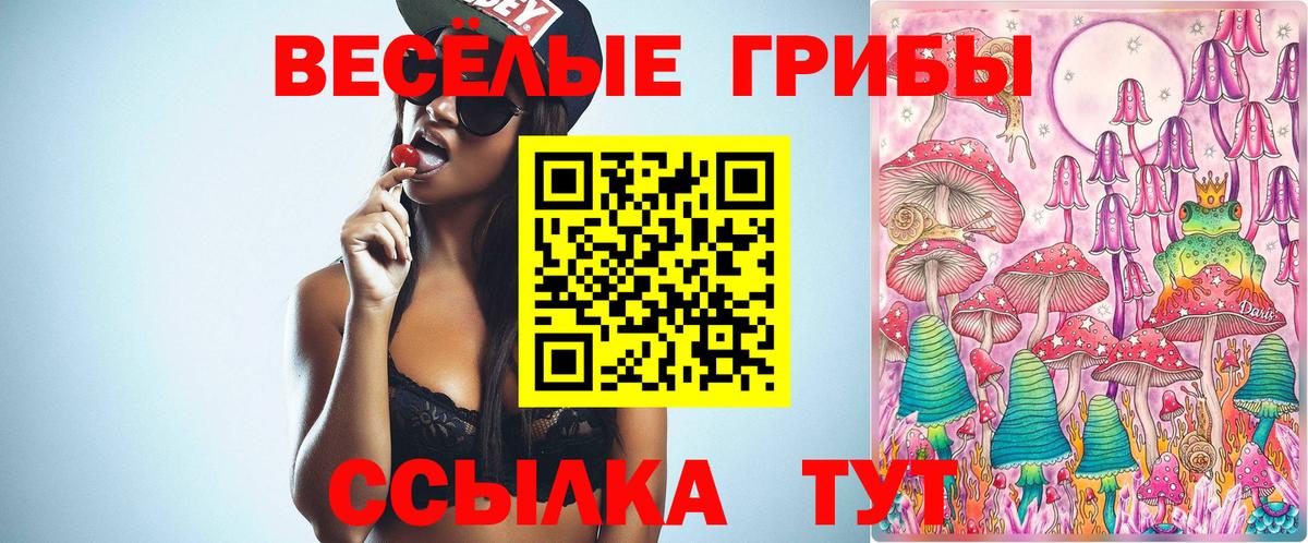 ГАШ  Меф кристаллы  Вход с VPN  Героин  Моршанск  ГАШИШ  Каннабис  Купить наркотик 