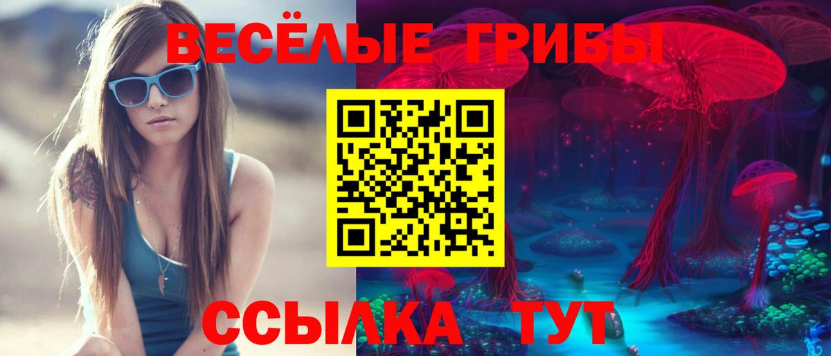 Псилоцибиновые грибы мухоморы Моршанск