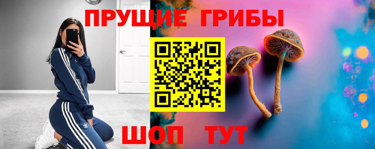 Галлюциногенные грибы MAGIC MUSHROOMS  Вход с VPN  Псилоцибиновые грибы мицелий  Моршанск 